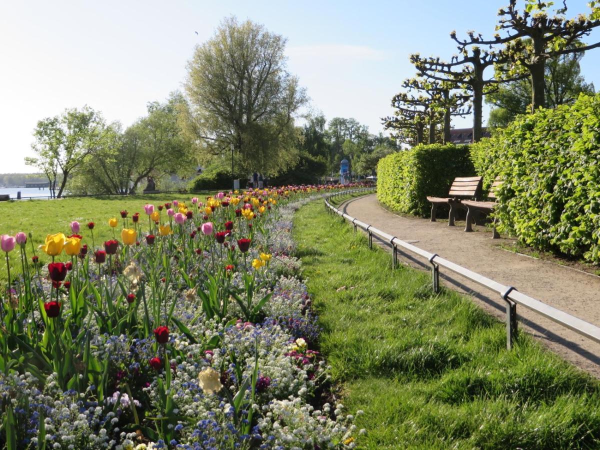 Ferienwohnungen "Marie" Mit Terrassen, Inclusive Park- Und Stellplaetze Am Haus, Mueritz-Strand Nur 700M, Altstadt 10Min, Ruhige Lage, 바렌 외부 사진